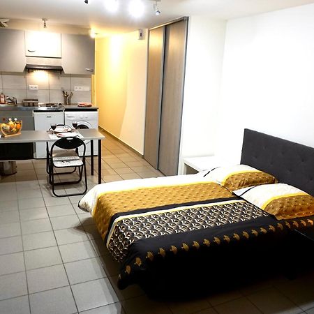 Charmant Studio Centre Ville Le Puy-en-Velay 外观 照片